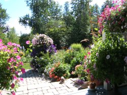 Beautiful perennial gardens