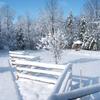 Pictures of Riverwood in the Winter
